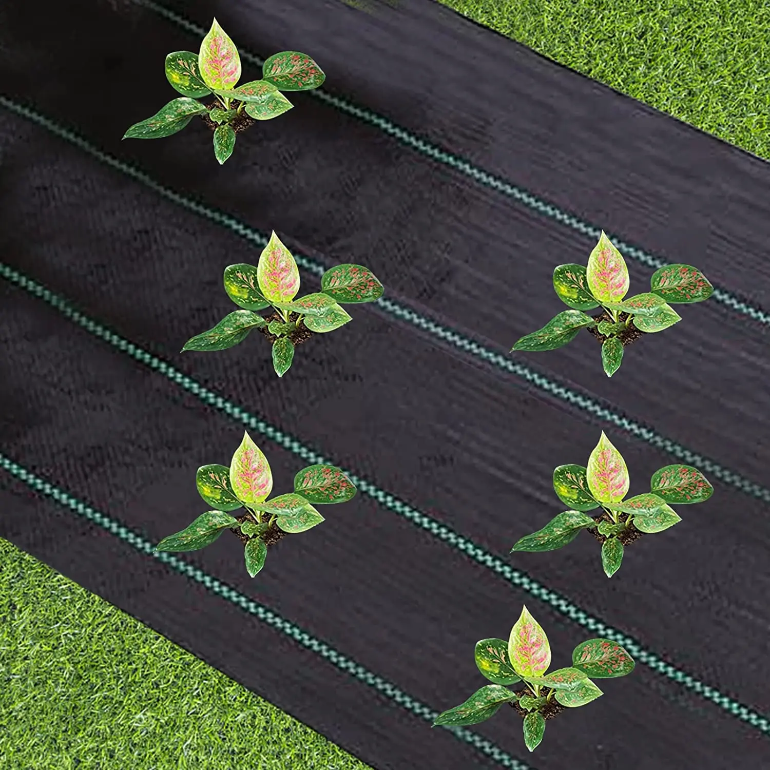 Weed Barrier Fabric Heavy Duty, Woven Weed Control Fabric, Non-Slip Outdoor Rubber Floor Mats, Weed Block Polyethylene Ground Co Weed Barrier Fabric Heavy Duty, Woven Weed Control Fabric, Non-Slip Outdoor Rubber Floor Mats, Weed Block Polyethylene Ground Co
