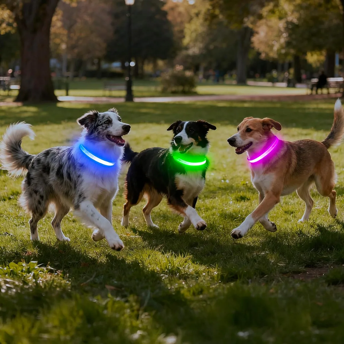 USB LED Dog Collar Lights - Adjustable Comfortable Soft Mesh Safety Collar Dogs, Colorful Lights for Nighttime Visibility USB LED Dog Collar Lights - Adjustable Comfortable Soft Mesh Safety Collar Dogs, Colorful Lights for Nighttime Visibility